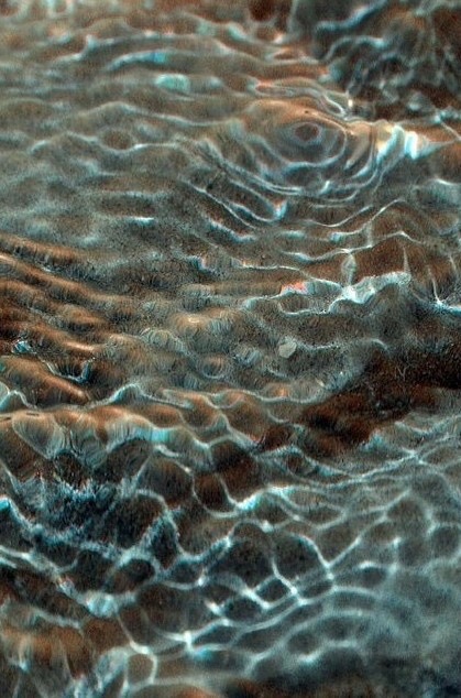 Peaceful water representing inner journey and transformation